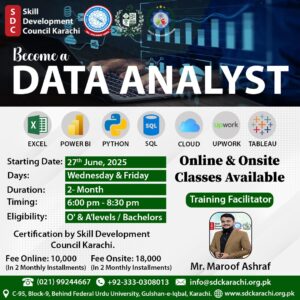data analyst